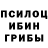 Псилоцибиновые грибы GOLDEN TEACHER Alan Samsonov