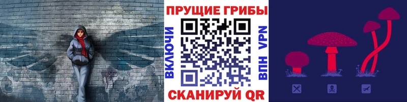 Псилоцибиновые грибы ЛСД MEGA Саяногорск